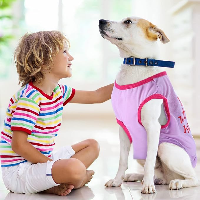 Jexine 6 Pack Chihuahua Dog T Shirt Girl Dog Puppy Clothes Breathable Outfit Pet Costume Summer Cat Clothes Dachshund Puppy Accessories Printed Shirts(Large)