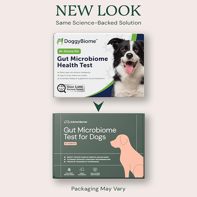 AnimalBiome Dog Gut Health Test – DoggyBiome At Home Stool Testing Kit, Canine Fecal Analysis for Digestive Issues, Diarrhea & Allergy Insights w/Personalized Report & Custom Plan (Dogs Outside US)