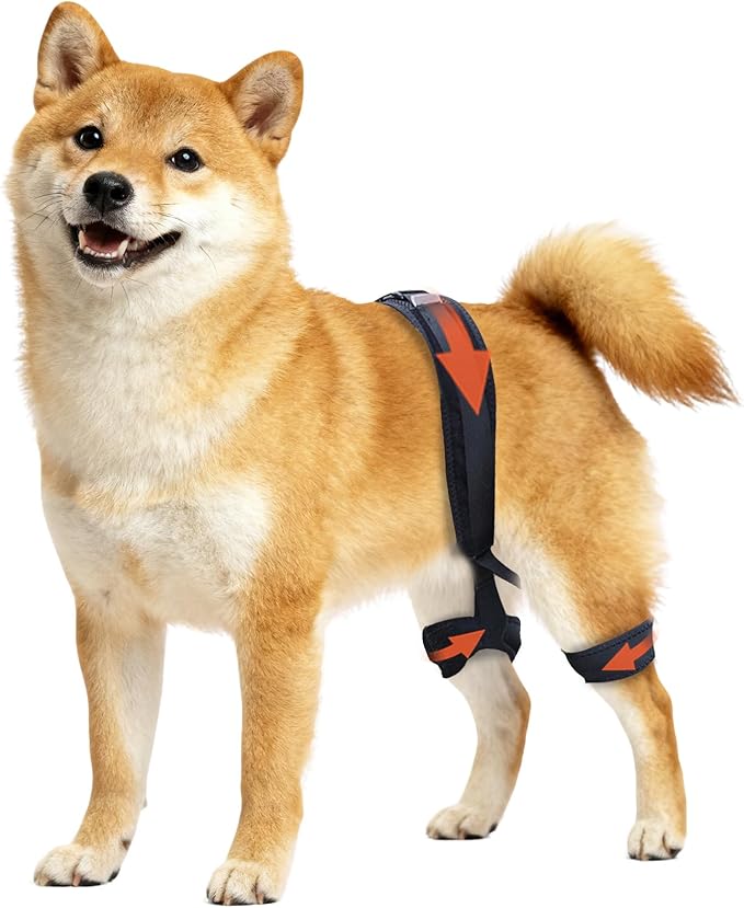 Dog Hip Brace for Hip Dysplasia, Adjustable Dog Hip Support Brace with Targeted Compression, Stabilizes Joints, Relieves Pain from Arthritis, M