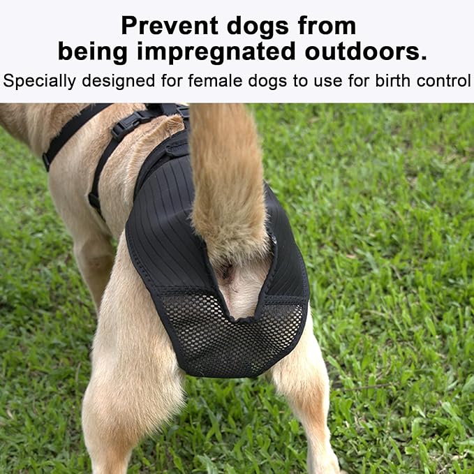 Female Dog Heat Pants with Harness Design - Anti-Slip, Anti-Mating, Reusable & Washable Underwear for All-Day Protection (Black, XS)