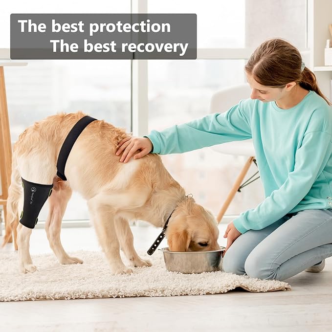 Dog Knee Brace Pro, for Dogs ACL, Luxating Patella,Dog Hip Brace for Back Leg - Keeps The Joint Warm and Stable - Extra Support - Reduces Pain（L）