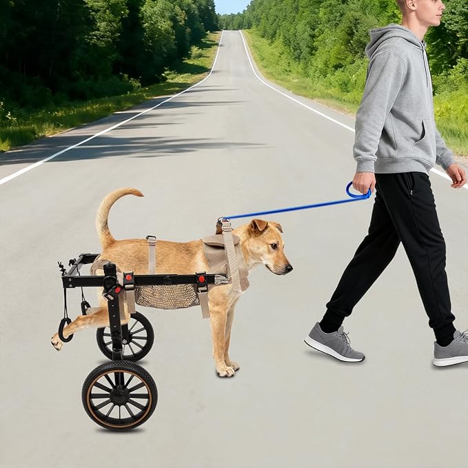 Pet Rehabilitation Walking Aid for Large Dogs, Adjustable 2-Wheel Dog Wheelchair for Back Legs with Breathable Mesh Harness for Senior Disabled Dogs Recovery Support
