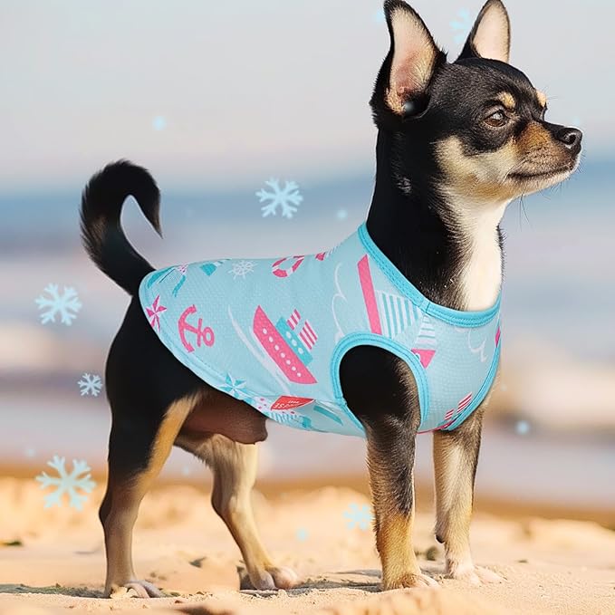 KYEESE 2Pack Dog Cooling Shirt, Breathable Dog Shirt for Small Dogs, Sun Protection Dogs Cooling Vest Tank Top, Lightweight Soft Sleeveless Summer Pet Clothes, Blue+Grey, L