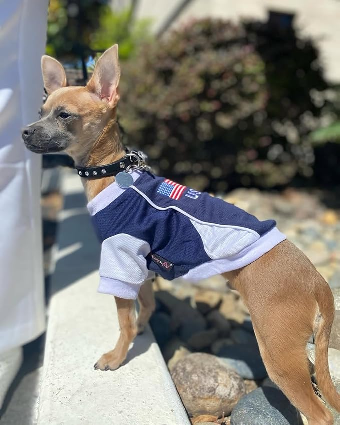 Parisian USA Dog Jersey - Breathable Mesh Puppy Football Jersey - Lightweight Stretch Sporty Dog Clothes - Summer Shirts for Small Dogs - Soccer Jersey for Dogs - Sportswear Pet Clothes