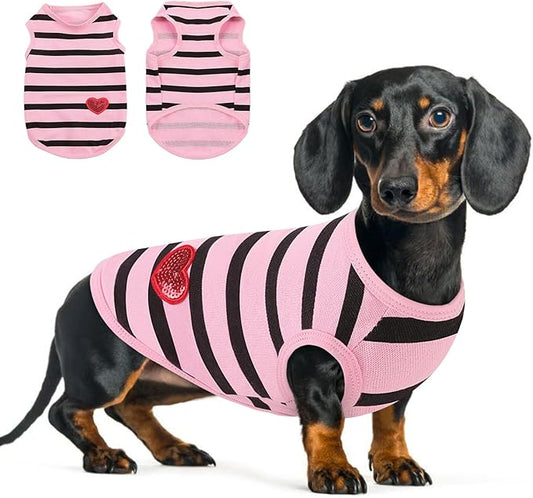 Queenmore Small Dog Shirt,Soft Breathable Dog Shirt for Dogs Cats Boy Girl,Pet Clothes for All Season,Breathable Lightweight Pet Tshirt for Frenchie, Dachshund, Yorkie