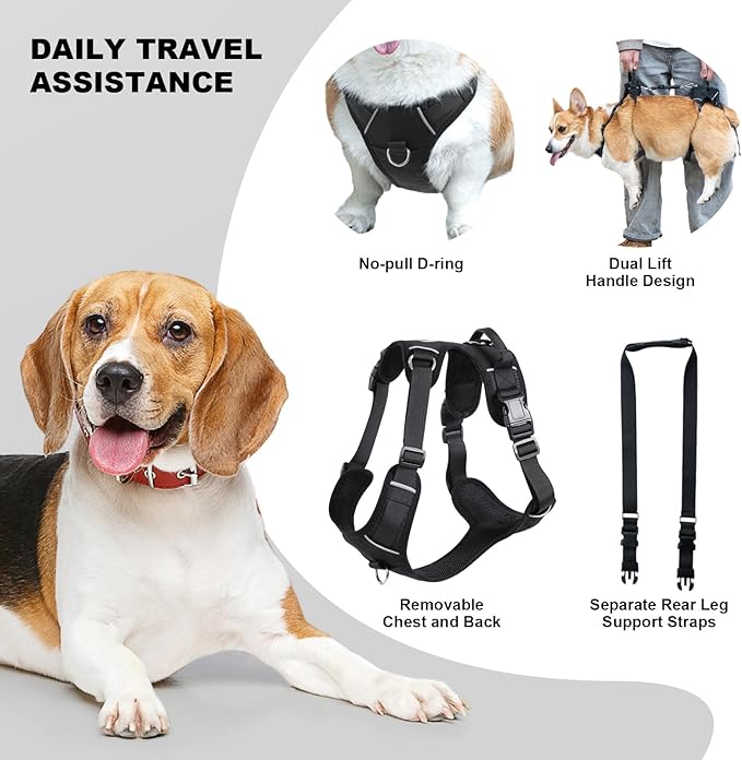Dog Lift Harness, Dog Lift Sling Carrier with Handle & Shoulder Sling, Support Harness for Rear Back Legs Helps,Disabled,Arthritis,Joint Injuries,Paralysis Up Stairs（Black,Large）