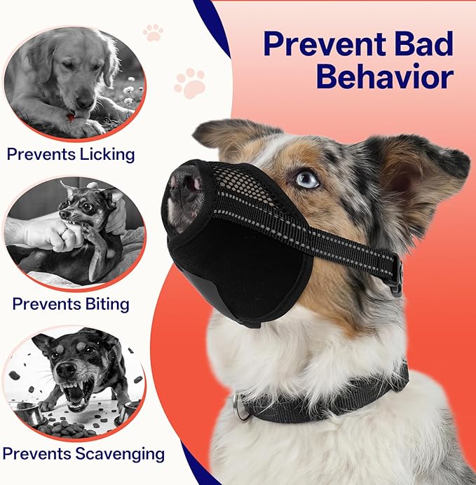 2 Pack Dog Muzzle for Anti Biting and Barking – Secure and Easy-Clean Breathable Mesh Mouth Guard for Grooming, Vet Visits, and Daliy Walks, Fits for Medium Sized Dogs, Black, M