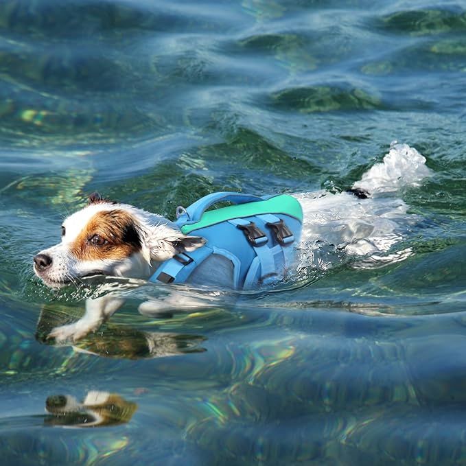 Queenmore XS Dog Life Jacket,Reflective Small Dog Life Vest for Swimming Boating，Adjustable Pet Life Vest for Extra Small Dogs with High Buoyancy,Safety Dog Swimming Vest with Handle(Blue,XS)