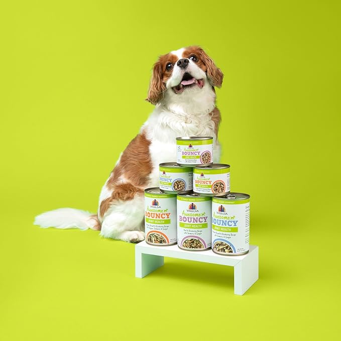 Weruva Awesome Bouncy Wet Dog Food, Magnificent Mobility Variety Pack, 6oz Can (Pack of 9)