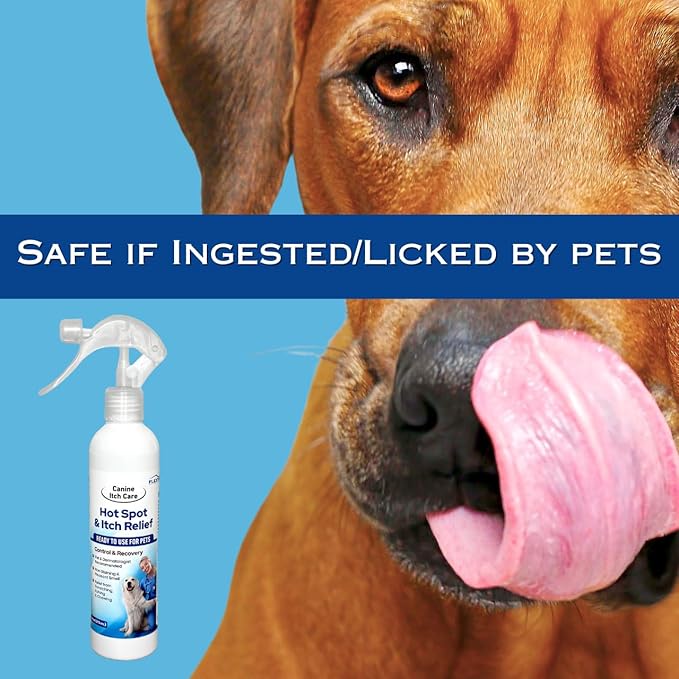 Canine Itch Care Hot Spot Spray & Itch Relief For Dogs. Remedy for Dog Itching, Dry Skin, Rash, Ringworm, Dermatitis, Itchy Paw, Irritation on Skin, Skin Allergy, Wound Care. 8 oz Ready To Use Spray