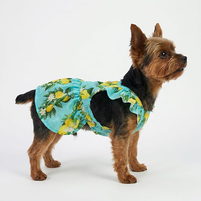 Fitwarm Lemon Dog Dress, Dog Clothes for Small Dogs Girl, Pet Cat Apparel, Teal Blue, Yellow, Green, Large