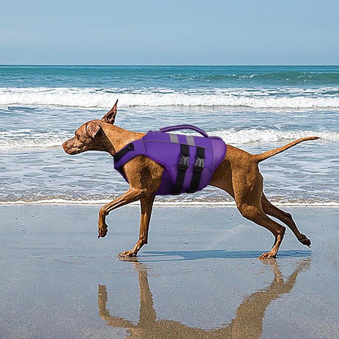 Kuoser Medium Dog Life Jacket, High Flotation Dog Life Vest for Swimming Boating, Reflective Dog Swimming Vest for Medium Dogs Pet Life Preserver with Rescue Handle, Purple M