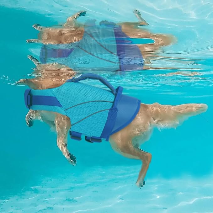Queenmore Dog Life Jacket with Front Float, Adjustable Ripstop Dog Life Vest for Swimming Boating, Pet Lifesaver with Rescue Handle, Enhanced Buoyancy Cat Pool Float (Blue,L)