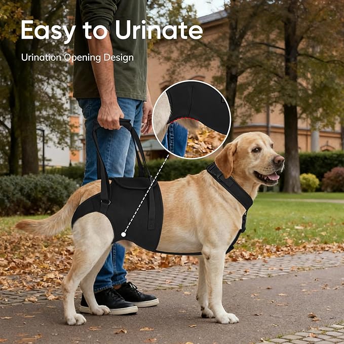 Supet Dog Sling for Large Dogs Hind Leg Support, Senior Dogs Lift Assist Harness for Weak Back Leg Support, Help Large Breed Rear Leg Up Harness, Mobility Aids for Elderly, Injured, Paralyzed Dog, XL