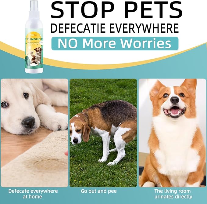 Dog Potty Training Spray,Pee Here Spray for Dogs Indoor & Outdoor,Dog Go Here Attractant Spray to Pee in One Spot,Prevent Your Pet from Soiling The Carpet,120ML (B)