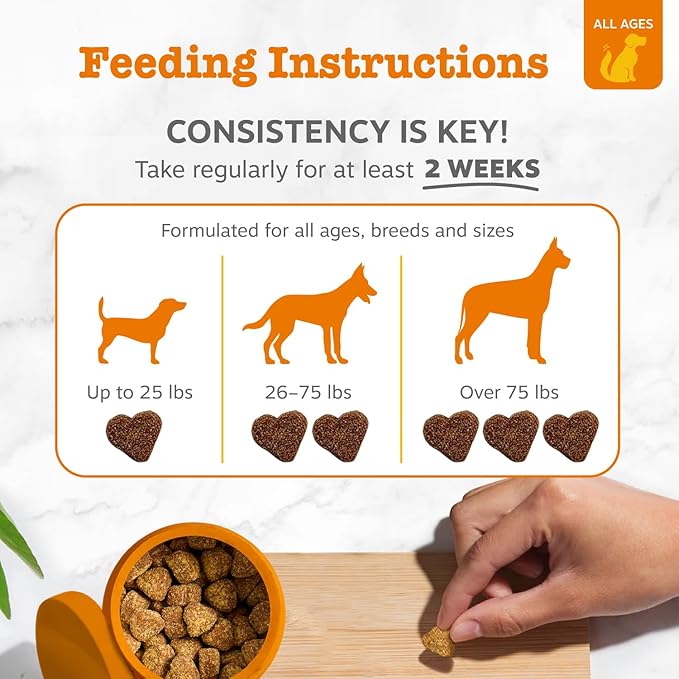 Zesty Paws Dog Allergy Relief Chews, Dog Probiotics for Itchy Skin and Ears, Lamb, 250ct (Pack of 2)