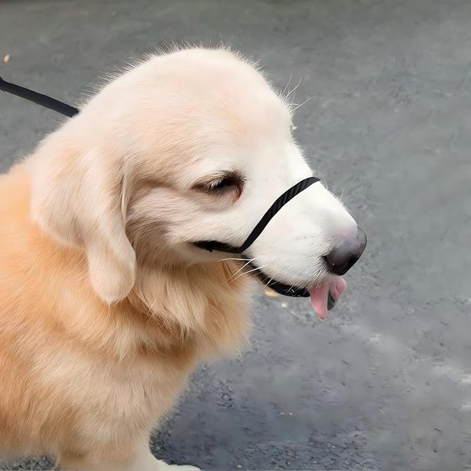Multifunctional Figure 8 Padded Head Halter Walking Training Leather Stopper Slip Lead Dog Rope Leash Muzzle (Pink)