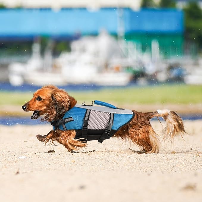 Queenmore Dog Life Jacket Vest for Swimming Boating Kayaking, Small Medium Doggie Puppy Life Preserver Lifesaver Pet PFD Lifejacket Safety Water Vest Pool Floatie (New Blue,XS)
