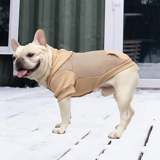 KOOLTAIL Warm Dog Winter Coat for Small Dogs, Waterproof Puppy Jacket with Leash Hole, Cold Weather Pet Vest for Winter, Soft Pet Hoodie Sweater Sweatshirt Clothes for Puppy Cats Girls Boys Beige L