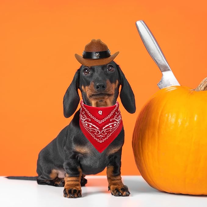 Fumwase Pet Cowboy Costume Halloween Costumes for Dogs Cat Puppy Hats with Bandana Scarf Cowboy Costume Accessories Dog Cat for Party Festival and Daily Wearing(Brown hat + Red, Small)