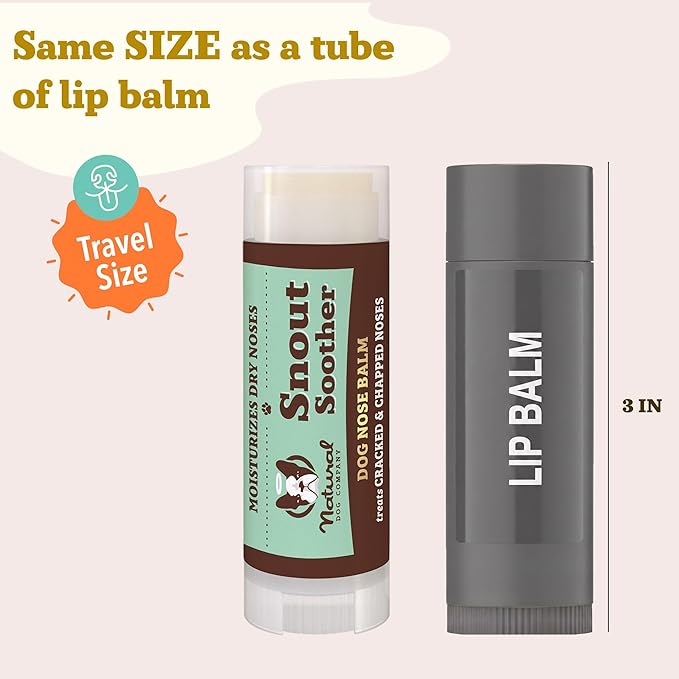 Natural Dog Company Snout Soother Balm – Dog Nose Balm for Dry Cracked Snouts, Moisturizing Winter Nose Care with Coconut Oil & Shea Butter, Lick Safe Dog Snout Balm for All Breeds, 0.15 oz Stick