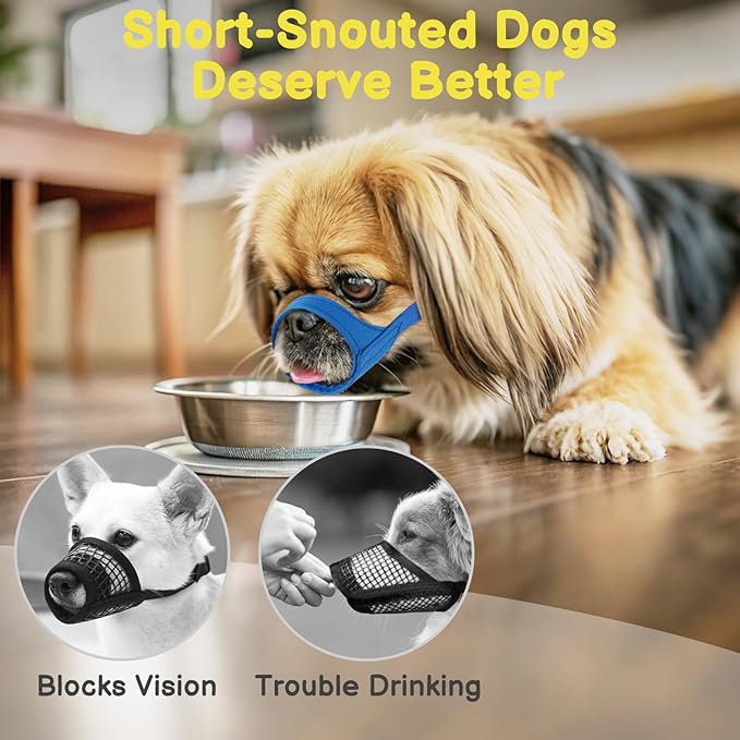 Mayerzon Short Snout Dog Muzzle for Small Medium Dogs, Soft & Sturdy Fabric, Anti Excessive Biting Chewing, Suits Chihuahua Shih Tzu Maltese for Grooming Vet Visits Walk, Allows Drinking(Blue, S+)
