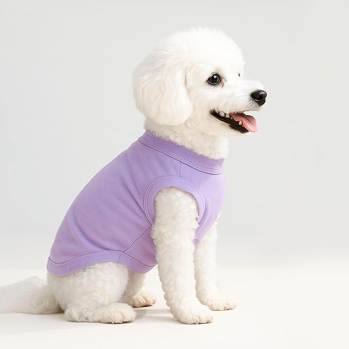 2 Pieces Dog Clothes for Small Dogs Girl Boy Spring Summer Puppy Soft Dog Shirt Solid Color Chihuahua Clothes Pet Clothing Cute Cat Clothing XXS~M (Rose,Purple, Small)