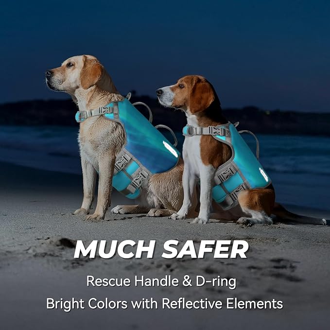 VIVAGLORY Neoprene Dog Life Vest, Dog Life Jacket for Swimming & Boating, Lightweight & Buoyancy for Puppy Doggy, Swimming Vest with Handle, XS, Teal