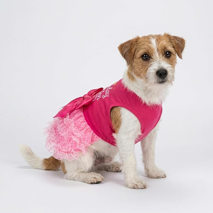 Fitwarm Barkday Queen Dog Tutu Dress, Birthday Clothes for Small Dogs Girl, Pet Outfit, Light Pink, Hot Pink, XS