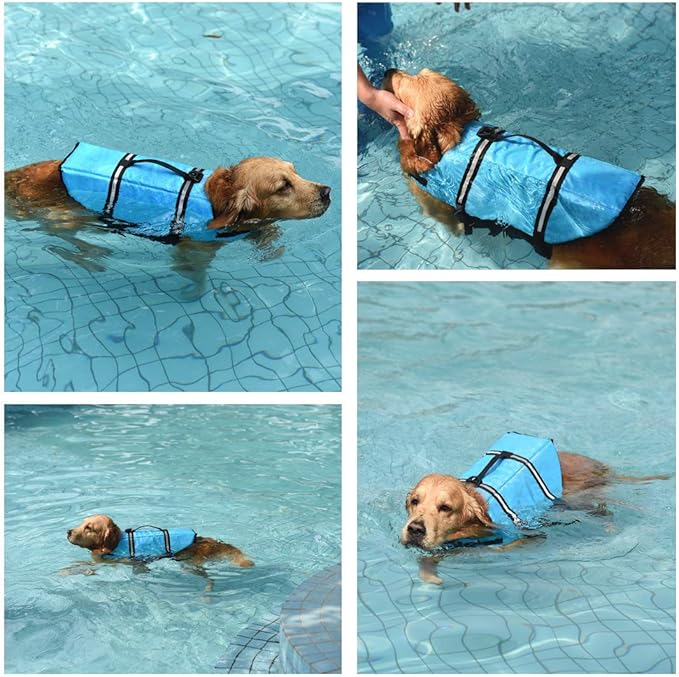 Doglay Dog Life Jacket, Dog Life Vest for Swimming Boating, Adjustable Puppy Life Jacket with Reflective Stripes, Superior Buoyancy Dog Swimming Vest for Small Medium and Large Dogs