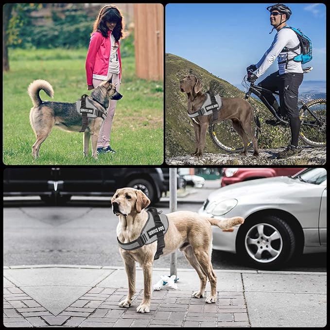 JSXD Dog Harness,No-Pull Service Dog Harness with Handle Adjustable Outdoor Pet Dog Vest 9M Reflective Nylon Material Vest for Breeds,Easy Control for Small Medium Large Dogs
