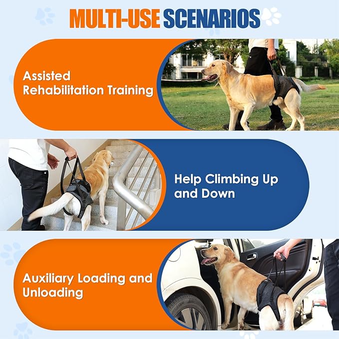 SlowTon Dog Lift Harness - Adjustable Dog Sling for Medium Large Dogs, Hind Leg Support to Help Rehabilitate, Soft Padded Dog Support Harness for Elderly, Injured, Arthritic, Disabled Dogs, M