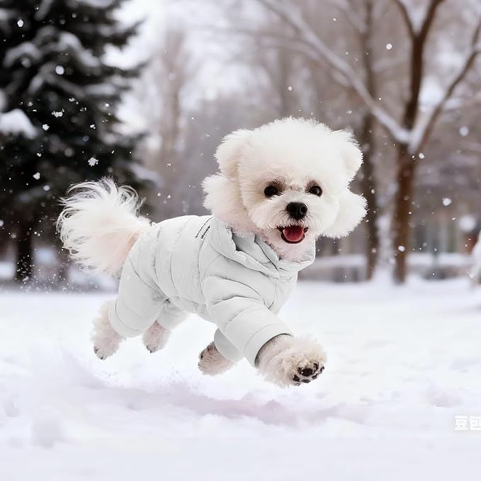 White Duck Down Dog Coat - 4-Leg Coverage, Waterproof Windproof Warm Winter Snowsuit, Cotton Anti-Static Lining, Built-in Harness Hole for Small/Medium Dogs,Size 13(M) Silver