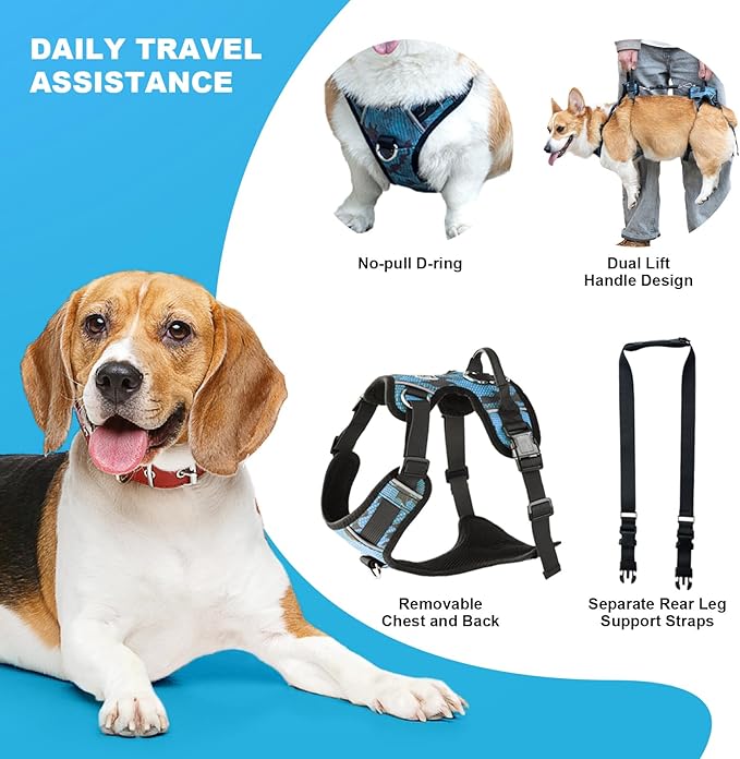 Dog Lift Harness, Dog Lift Sling Carrier with Handle & Shoulder Sling, Support Harness for Rear Back Legs Helps,Disabled,Arthritis,Joint Injuries,Paralysis Up Stairs（Blue,Large）