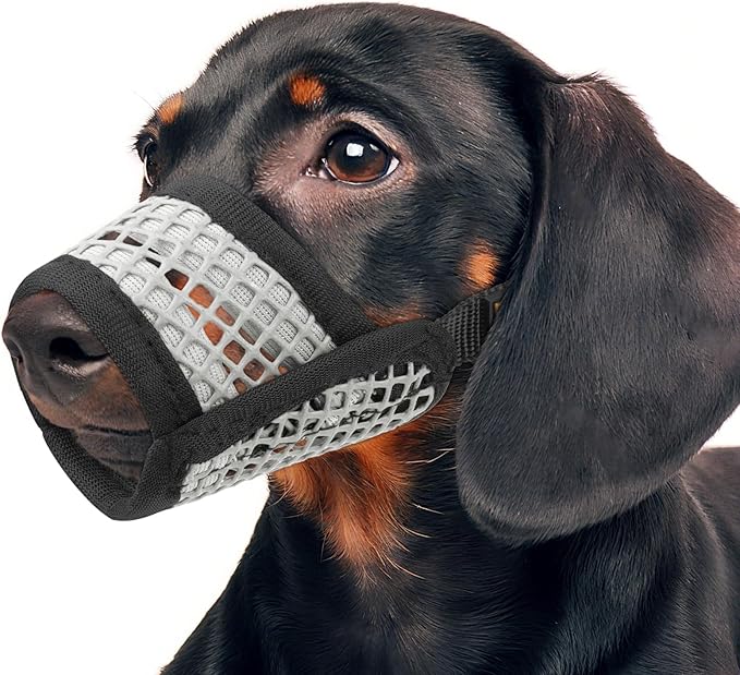 Mayerzon Dog Muzzle for Biting, Patented Soft Breathable Mesh Muzzle for Small Medium Dogs Chihuahua Dachshund Poodle, Adjustable Mouth Cover for Grooming, Chewing, Vet Visits (Black Trim, S)