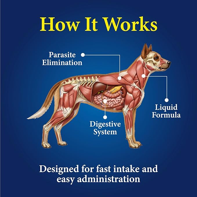 No More Worms in Dogs - Say Good Bye to Worms in Dogs -Dewormer for Dogs and Puppies - 120mls Chicken Flavour with 3ml