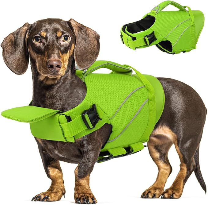Queenmore Dogs Life Jackets, Dog Life Vest for Swimming Medium, Ripstop Pet Lifesaver with Rescue Handle, Chin Float Dog Life Jacket, Cat Pool Float (Green,M)