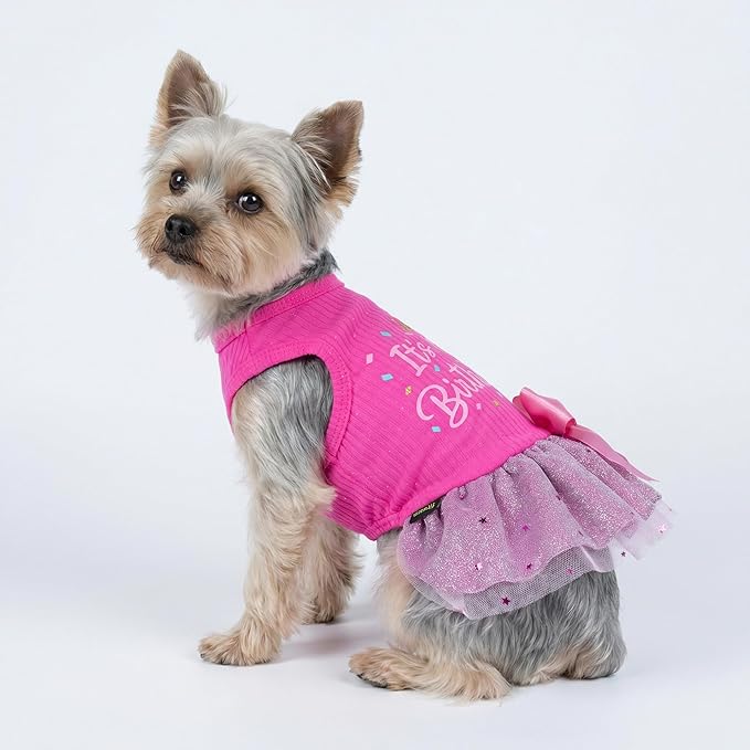 Fitwarm It's My Birthday Dog Dress - Pink Bowknot Dog Clothes for Small Female Puppy, XXS