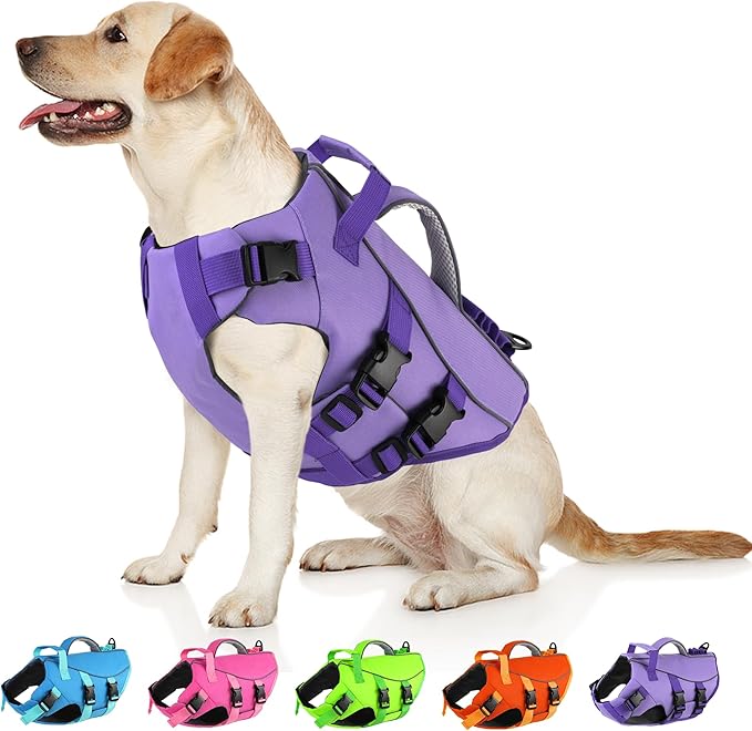 Dogcheer Dog Life Jacket with Double Rescue Handle, Reflective Dog Harness Life Vest for Swimming Boating, Adjustable Pet Swim Vest Dog Flotation Device DFD for Small Medium Large Dogs - Purple M