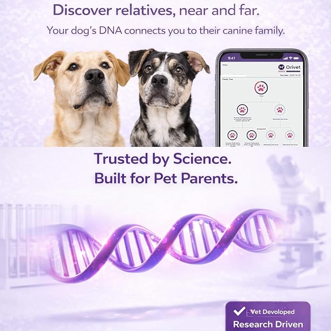 ORIVET Dog DNA Test Kit – Comprehensive Dog DNA Test Kit for Over 330+ Breed Identification | At Home Dog DNA Kit with Canine Genetic Testing & Life Plan Genopet