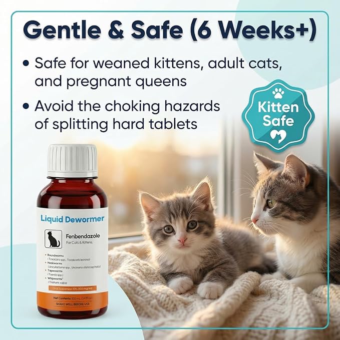 Dewormer for Cats & Kittens Liquid Fenbendazole - Broad Spectrum Suspension - Removes Roundworm, Hookworm, Tapeworm - Easy to Mix with Food, Includes 3ml Dosing Syringe (100ml)