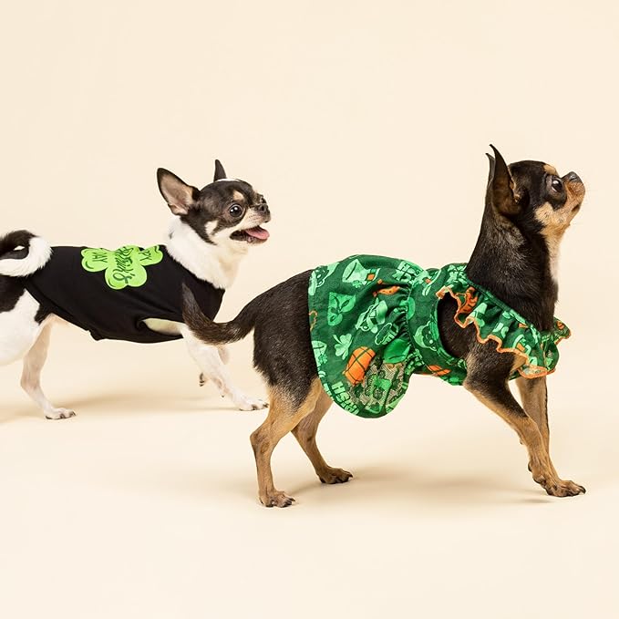 Fitwarm Happy St Patricks Day Dog Clothes, Summer Dog Clothes for Small Dogs Boy Girl, Funny Dog Tshirt, Lightweight Breathable Cotton, Pet Cat Outfit, Black, Green, Medium