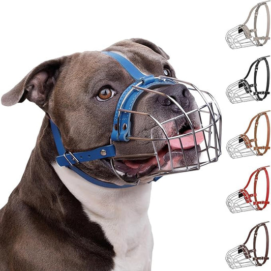 BRONZEDOG Pitbull Dog Muzzle Breathable Metal Basket for Large Dogs Amstaff Staffordshire Terrier Biting Chewing Barking (Leather, Blue)