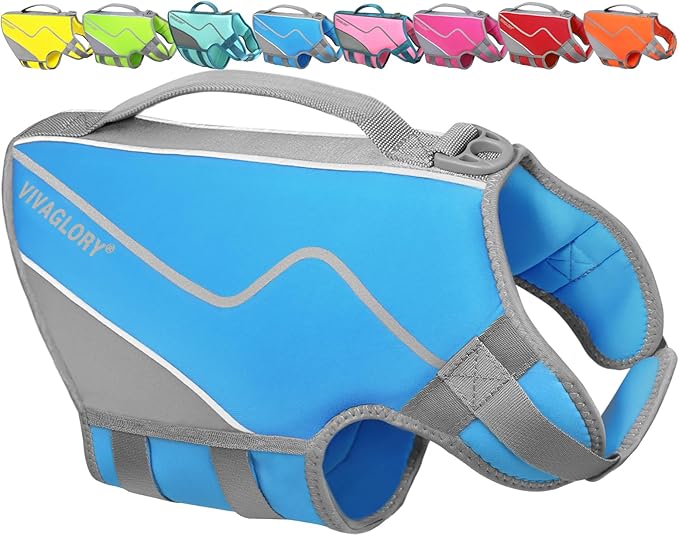 VIVAGLORY Neoprene Dog Life Vest, Dog Life Jacket for Swimming & Boating, Lightweight & Buoyancy for Puppy Doggy, Swimming Vest with Handle, S, Blue