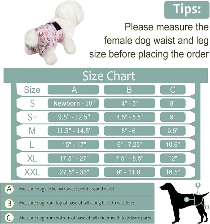 Washable Female Dog Diapers (5 Pack) - Doggie Reusable Small Medium Large Dog Diapers for Doggy Puppy Female in Period - Highly Absorbent Dog Heat Panties,S Plus,Breenish Lily Flower
