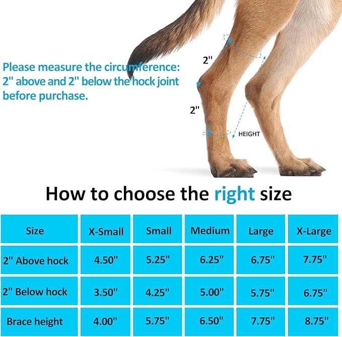Dog Leg Brace for Back Legs, Canine Hind Hock Brace, Joint Compression Warps Support for Rear Leg with Injury Sprain, Wound Care for Loss of Stability from Arthritis Torn ACL (1 Pair)