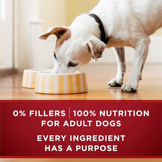 Purina ONE High Protein Wet Dog Food True Instinct Tender Cuts in Dog Food Gravy With Real Beef and Wild-Caught Salmon - (Pack of 12) 13 oz. Cans