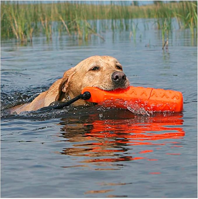 Avery ASD 2" HexaBumper Hunting Sporting Gun Dog Game Retriever Dummy | Water & Upland Mark Training Retrieval Tool | Hexagonal, Floating Design, Easy-Grip Texture, Throw Rope, Orange (02703)