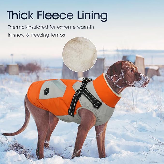 IECOii Dog Winter Coat Waterproof - Orange, Medium - Dog Coat with Harness Built in for Medium Dogs, Thermal Warm Fleece Lined with Zip Up Cold Weather Jacket,Reflective Snowsuit for Outdoor Hiking