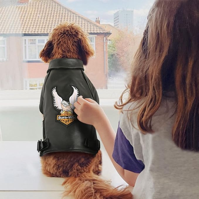 Warm Dog Jacket Winter Dog Coat Jacket for Small and Medium Sized Dogs Windproof and Waterproof Puppy Jacket Cool Pet Dog Clothes Dog Leather Jacket Chihuahua Clothes Yorkie Clothes Black Medium